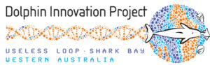 Shark Bay DIP Logo