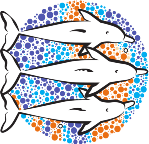 shark bay dolphin research logo square